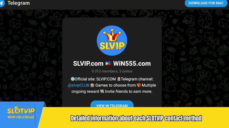 Detailed information about each SLOTVIP contact method