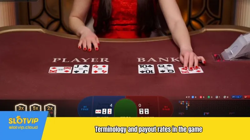 Terminology and payout rates in the game