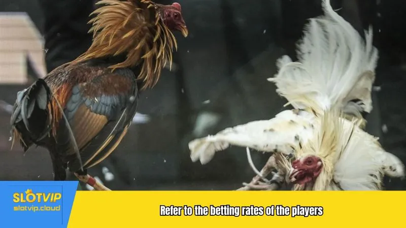 Refer to the betting rates of the players